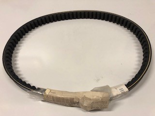 Riem variateur